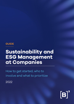 image described Guide to Sustainability and ESG Management at Companies